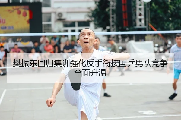 樊振东回归集训强化反手衔接国乒男队竞争全面升温